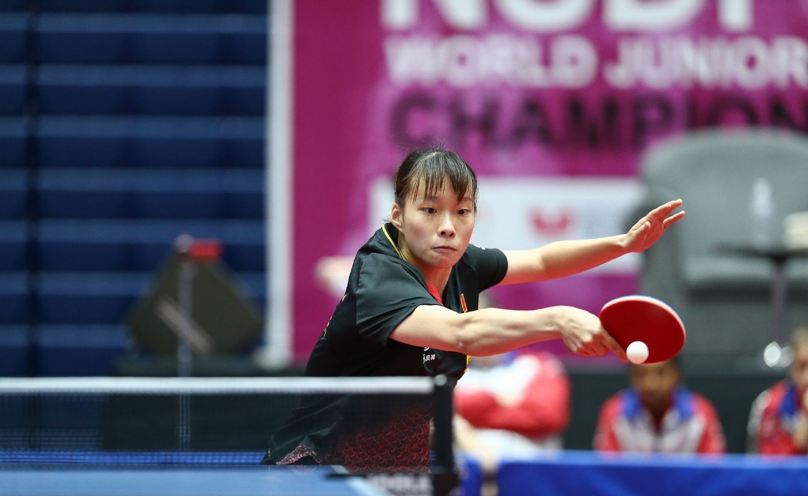 杯上的表现 杯上的表现